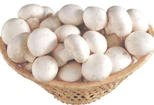 מכירה לוהטת אורגני לבן פטריות, כפתור פטריות, והסוכרים - Product Image 4