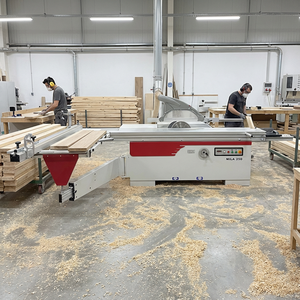 Sierra de Panel Deslizante de Alta Resistencia SEGA 350, Marca Italiana, Máquina de Corte de Madera de Alta Eficiencia para Carpintería y Muebles - Product Image 1