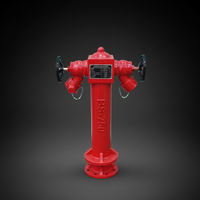 Hydrants en fonte ductile britannique XingLong BS750, revêtement en poudre rouge, 800 mm, personnalisables pour la protection incendie, à poser au-dessus du sol