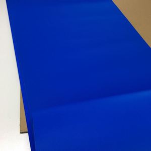 Bande transporteuse plate en PVC UNI, largeur 30 mm, épaisseur 5 mm, couleur bleue, pour l'industrie alimentaire - Product Image 6