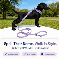 Collare per Animali Domestici Impermeabile in Silicone, Personalizzabile con Nome, Charm 3D Scorrevole per Cani e Gatti, Collare Morbido Opaco Confortevole, Scelta Multicolore