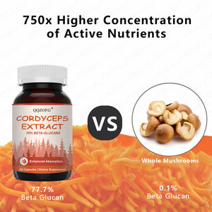 Sıcak satış özelleştirilmiş <span class=keywords><strong>Cordyceps</strong></span> kapsül geleneksel çin sağlık koruma 60 kapsül - Product Image 3