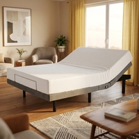 Lit électrique moderne réglable-Design supérieur avec cadre en métal, modulaire et convertible pour un style de chambre polyvalent