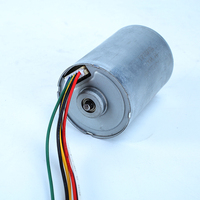 Moteur électrique BLDC haute puissance 28mm moteurs à courant continu sans balais 12V/24V 20W aimant Permanent pour modèles d'outils électriques BL2847 BL2838