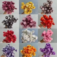 Fleur de chrysanthème séchée naturelle AX-45 pour arrangement floral, Saint-Valentin, Fête des Mères, Halloween, Noël, décoration, qualité A