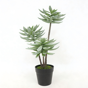 ต้นเอโอเนียมล็อตัสประดิษฐ์ 3 หัวในกระถางพลาสติกสีดำ ต้นไม้ประดิษฐ์ ต้นไม้ปลอมสำหรับตกแต่งบ้านและสวน - Product Image 4