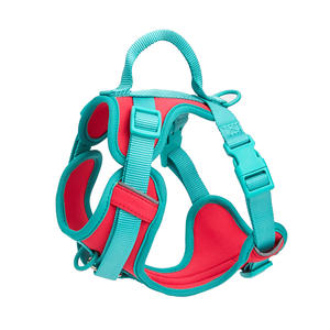 Fournitures pour animaux de compagnie Design de mode harnais pour chien gilet contrôle facile doux rembourré sans traction harnais pour chien de compagnie - Product Image 1