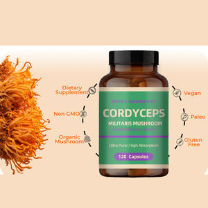 OEM/ODM Cordyceps <span class=keywords><strong>Mycelium</strong></span> Capsule Suppléments à base de plantes Booster immunitaire Cordyceps Sinensis - Product Image 3