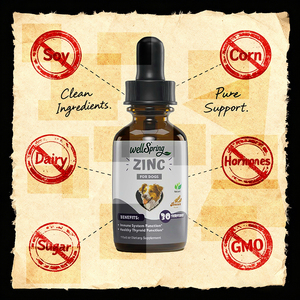 Gouttes liquides de zinc en gros sous marque privée <span class=keywords><strong>pour</strong></span> la santé canine : cicatrisation des plaies, allergies, probiotiques, multivitamines, compléments alimentaires <span class=keywords><strong>pour</strong></span> chiens - Product Image 3