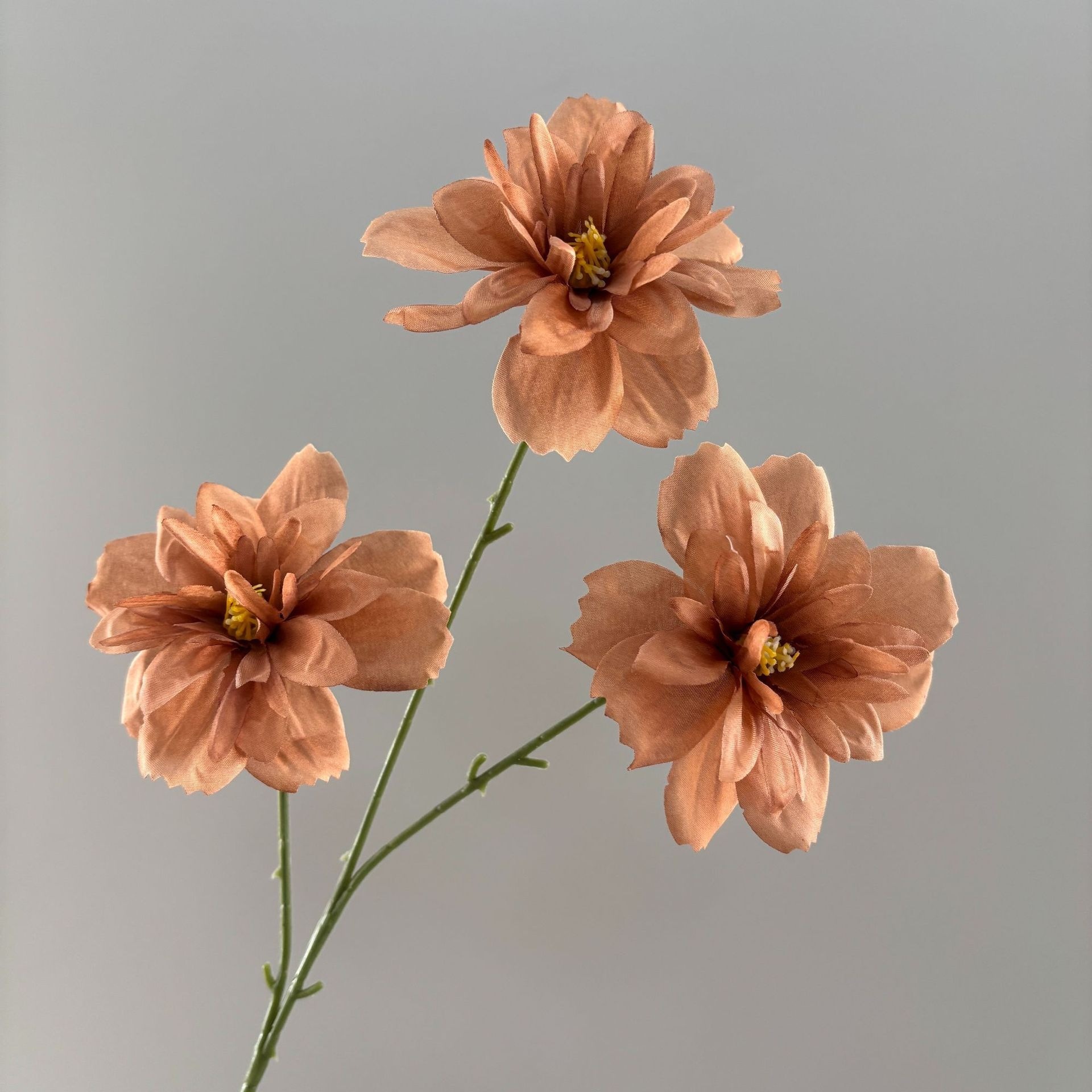 Fleur du bonheur