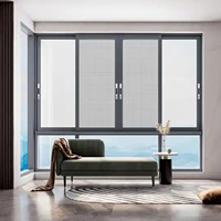 Ventana Corrediza de Aleación de Aluminio Insonorizada con Doble Acristalamiento de Diseño Moderno y Malla de Acero Inoxidable para Uso en Apartamentos