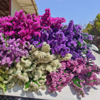 Pabrik Grosir Satu Atap Bunga Myosotis Sylvatica Statice Asli 120g Limonium Awet Alami Bunga Forget Me Not Awet Alami