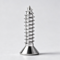 304 Stainless Steel Phillips Self Tapping Screws High Precision Fastener