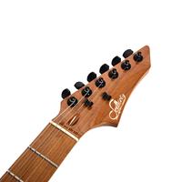 Warehouse Hot Stock Electric Guitar JOM- TE Flexible MOQ Custom Color Custom Logo for Global Music Retailers