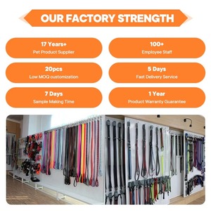 <span class=keywords><strong>Collier</strong></span> <span class=keywords><strong>de</strong></span> <span class=keywords><strong>chien</strong></span> en TPU étanche vert citron <span class=keywords><strong>de</strong></span> haute qualité équipement GPS à motif solide personnalisé <span class=keywords><strong>pour</strong></span> la <span class=keywords><strong>chasse</strong></span> matière plastique Durable - Product Image 4