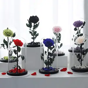 Heiße 12*20cm Beauty Beast Belle LED Rot Echte ewige dekorative Blume Geschenk box für immer Ewige konservierte Rosen in Glaskuppel