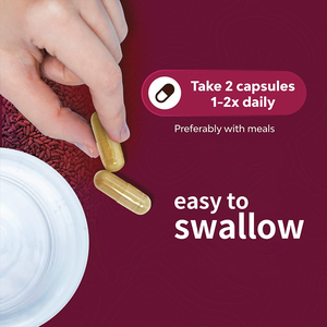 Nhãn hiệu riêng Red Yeast Rice chiết xuất <span class=keywords><strong>cholesterol</strong></span> tim sức Khỏe Bổ sung Coenzyme Q10 Red Yeast Rice viên nang - Product Image 3