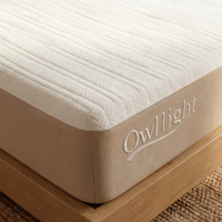 Matelas Orthopédique Hypoallergénique en Mousse à Mémoire de Forme, Design Moderne, Taille Queen, Épaisseur 25 cm, Idéal pour Chambre à Coucher – Vente Chaude Populaire pour Hôtels