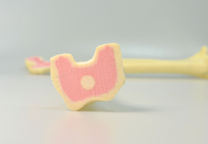Modelo de Húmero, Modelos Educativos, Modelo de Hueso de Tibia y Fíbula Humana para Aprendizaje y Entrenamiento Médico, Huesos Sintéticos - <span class=keywords><strong>Esqueleto</strong></span> - Product Image 3
