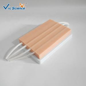 Maniquí de Ciencias Médicas, Almohadilla de Inyección, Modelo de Entrenamiento de Enfermería, Simulación de Inyección - Product Image 3