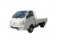 Populaire 370km 2 sièges conduite à droite mini voiture électrique Ev camion Wuling camion camionnette électrique en magasin