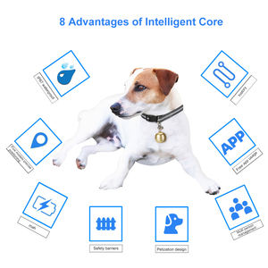 Alpha 100 Tt 15 Dog Gps E-Collar Bundle Última tecnología Soluciones personalizadas Oem Fábrica de rastreador GPS personalizado - Product Image 5