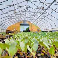 Serre agricole intelligente multi-chapelles à petite échelle pour la production de légumes, équipée du film POPE