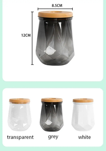 Pot de fleurs hydroponique transparent en plastique durable, léger, moderne, pour usage domestique, personnalisable - Product Image 1