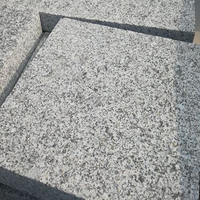 Escaliers et dalles en granit gris G654 modernes à prix direct usine, podium 800x800mm, écologiques, légers, garantie à vie