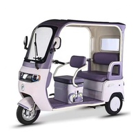 Nouveau tricycle électrique pour passagers, batterie au plomb-acide 60V, tricycle 1000W, siège double rangée, tricycle électrique fermé pour adultes
