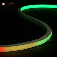 Bande LED néon RGB 1616, expression de couleur pour les contrats de rénovation d'ambiance des salles d'exposition culturelle et des parcs à thème commerciaux