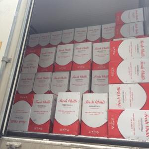 Fabricante-Exportación a granel de Chile rojo orgánico Pimienta fresca Producto Agrícola Natural Uso alimenticio Verduras frescas - Product Image 6