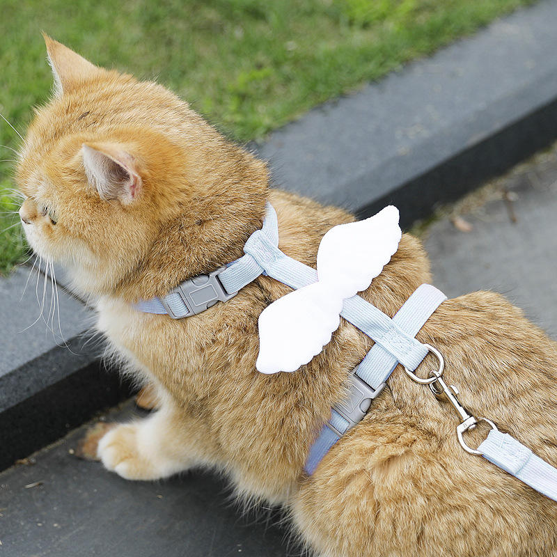 Blue+wings+1.2m leash