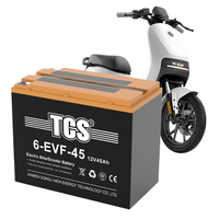 Batterie au gel plomb-acide TCS 6-DZM-45 12V45AH pour vélo électrique et scooter