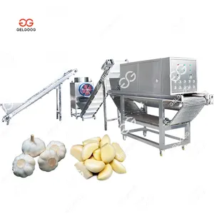 220V Electric Garlic Peeler Machine Single Phase Garlic Skin Peeling Maker New Japanese Garlic Peeling Machine Industrial