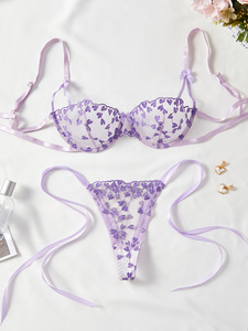 Wholesale Heart Embroidery Lace Lingerie <b>Set</b> <b>Sexy</b> Sheer Mesh Intimates Underwire Bra and Tie Side Thong Panties <b>Set</b> 2 Piece - Product Image 3