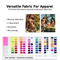 Tela de Nailon y Spandex Mate de Alta Densidad 200GSM, Resistente al Cloro, Elástica en 4 Direcciones, para Trajes de Baño de Competición