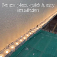 Tira de LED RGBW Flexible para Exteriores con Clasificación IP68, Resistente al Agua, para Pared, con Código DMX512 Programable, Cambio de Color, 5 Metros por Pieza
