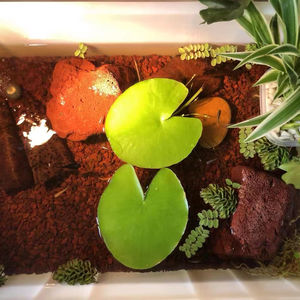 Piedras pómez de lava de basalto natural pulido al por mayor, rocas volcánicas - Product Image 5