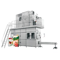 Hoge kwaliteit hot verkopen sap productielijn machine/apparatuur van chinese leverancier/fabrikant met lage prijs in 2017 ontwerp