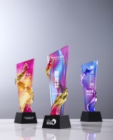 Trophée commémoratif sur le thème de l'année du Dragon Plaque de médaille en résine et cristal combinés pour les cadeaux de salons professionnels