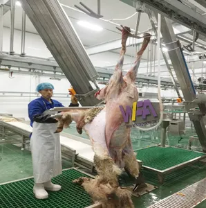 Casa de slaughter, cabras vivas e ovelhas máquina de skinning para abatadura de cordeiro equipamentos