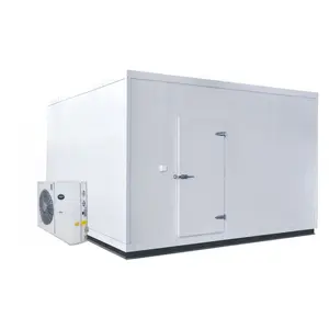 BesCool New Walk-In Freezer Room By Manufacturer 220V Cold Storage With 50mm Panel Thickness For Fish Meat Storage