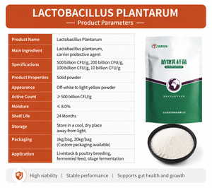 Poudre Probiotique <span class=keywords><strong>Lactobacillus</strong></span> Plantarum pour Additif Alimentaire Bétail & Volaille Améliore la Digestion, l'Immunité et l'Utilisation des Aliments - Product Image 3
