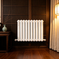 Radiateur auto-chauffant SLLS pour la maison, colonne verticale en acier minimaliste, décoratif, avec commande tactile, pour salon, chambre, hôpital