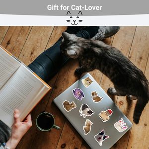 Pegatinas Divertidas de Memes de Gatos a Prueba de Agua Personalizadas, Etiquetas de Vinilo Kawaii para Laptop, Botella de Agua, Carcasa de Teléfono, Patineta, Decoración DIY - Product Image 6