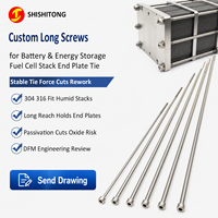 Tornillo de extremo personalizado de cabeza hexagonal pasivada de acero inoxidable 304 316 para pilas de celdas de combustible, proveedor de tornillos de cabeza larga