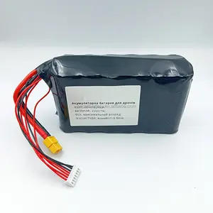 Customized 6S2P 21700 Battery Pack 21.6V 8400mAh 21700 Battery Pack