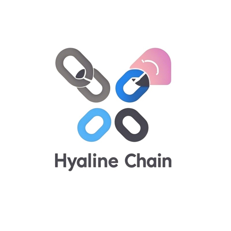 Hebei Hyaline Chain Imp And Exp  Co., Ltd. logo
