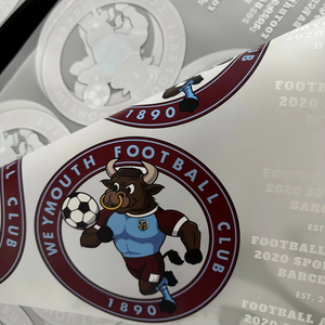 Trasferimento DTF Pronto per la Pressatura a Caldo, Adesivo per Magliette e Felpe, Etichetta Termoadesiva Personalizzata con Logo in Plastisol - Product Image 1